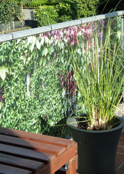 Collection image for: Balkon