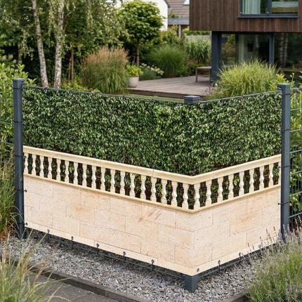 Aventine als Sichtschutz am Gartenzaun