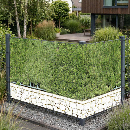 Candara als Sichtschutz am Gartenzaun