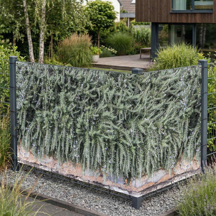 Carlos als Sichtschutz am Gartenzaun