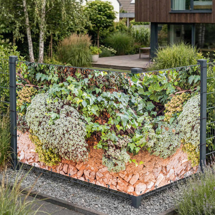 Carmen als Sichtschutz am Gartenzaun