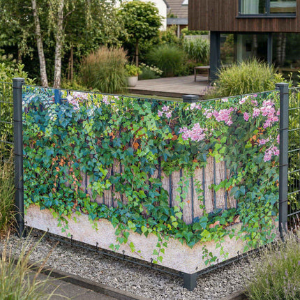 Cindy als Sichtschutz am Gartenzaun