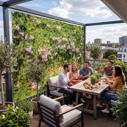 Dolores als Sichtschutz auf der Terrasse