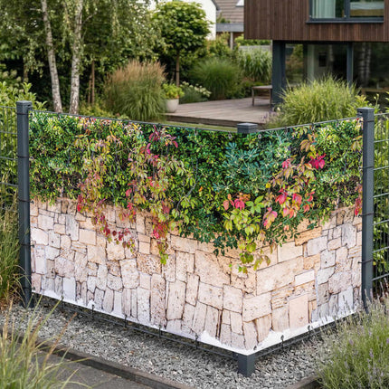 Donatella als Sichtschutz am Gartenzaun