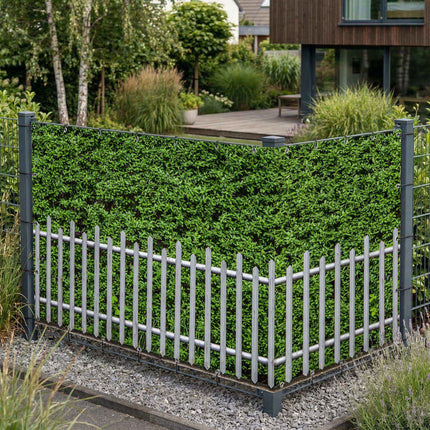 Edeltraud als Sichtschutz am Gartenzaun