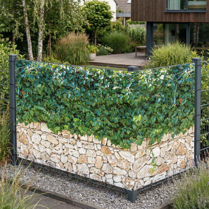 Edna als Sichtschutz am Gartenzaun