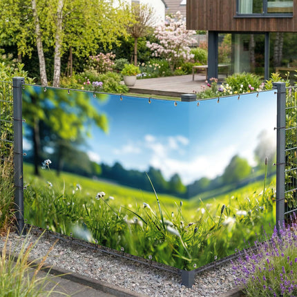 Elaine als Sichtschutz am Gartenzaun