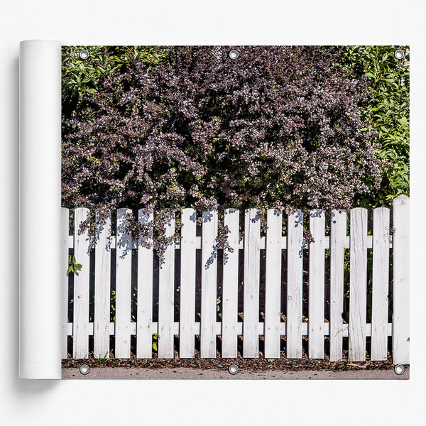 Elfriede