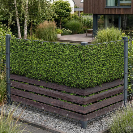 Hans als Sichtschutz am Gartenzaun