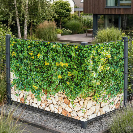 Julia als Sichtschutz am Gartenzaun