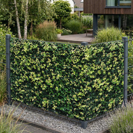 Koni als Sichtschutz am Gartenzaun
