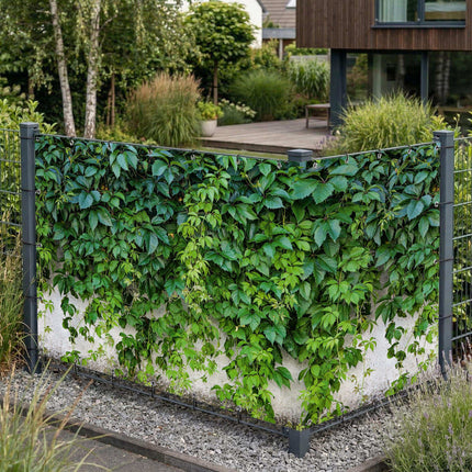 Lady als Sichtschutz am Gartenzaun