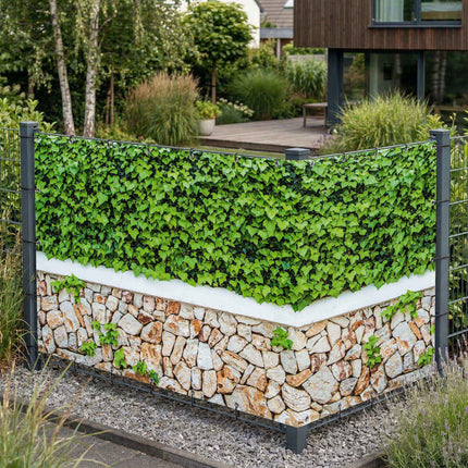 Marian als Sichtschutz am Gartenzaun