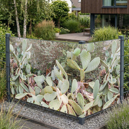 Quinn als Sichtschutz am Gartenzaun