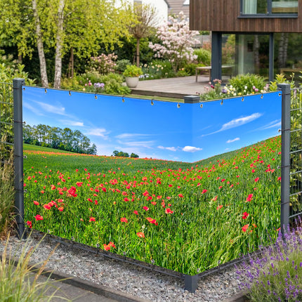 Sichtschutz Mohnblumen (Rina) am Gartenzaun