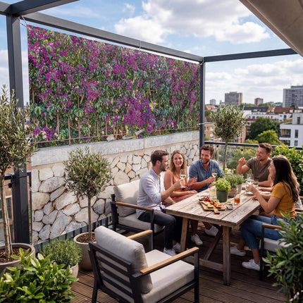 Rubinia als Sichtschutz auf der Terrasse