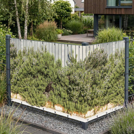 Sansa als Sichtschutz am Gartenzaun