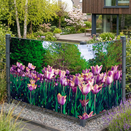 Sichtschutz Tulpen (Sari) am Gartenzaun