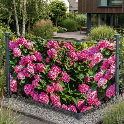 Sombra als Sichtschutz am Gartenzaun