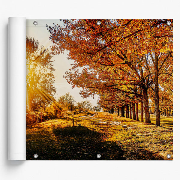 Taroa / Herbstwald