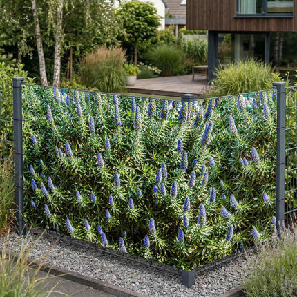 Trio als Sichtschutz am Gartenzaun