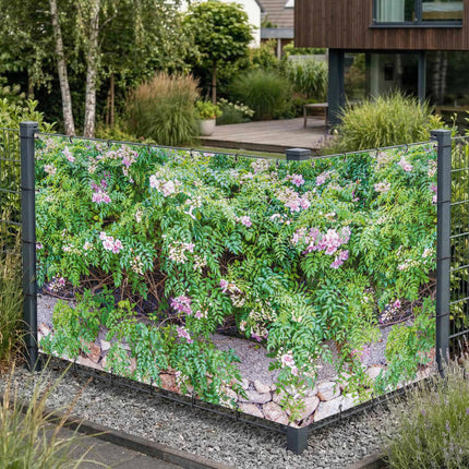 Valentina als Sichtschutz am Gartenzaun