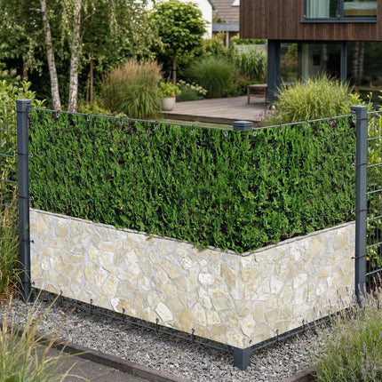 Zeno als Sichtschutz am Gartenzaun