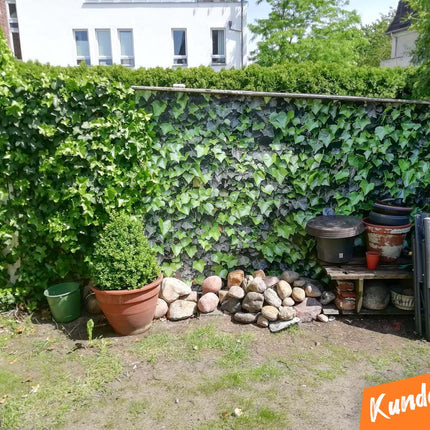 Sichtschutz Edi - Ansicht 5