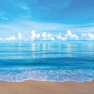 Sichtschutz mit Motiv Sunny: ruhige Strandszene