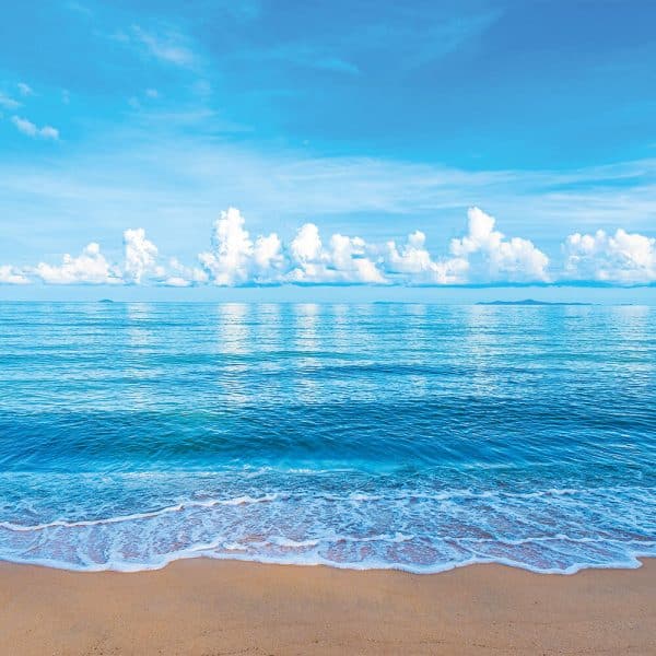 Sichtschutz mit Motiv Sunny: ruhige Strandszene